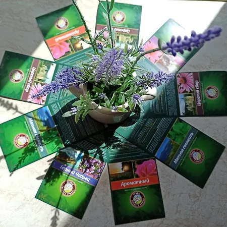 Lejlighed Lavender *